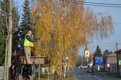 Obrázek galerie Alej v Mělnické