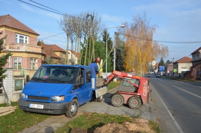 Obrázek galerie Alej v Mělnické