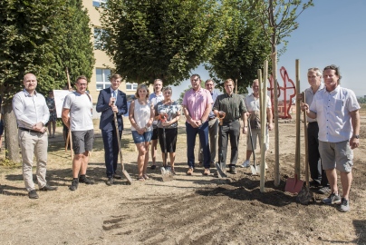Začala stavba školy - sázení lípy