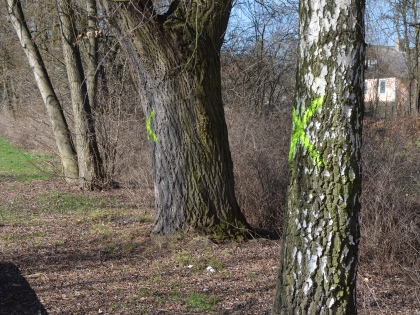 Ilustrační obrázek do seznamu nebo pro pouták