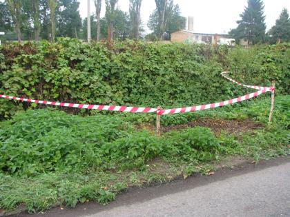 Ilustrační obrázek do seznamu nebo pro pouták