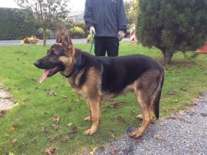 Ilustrační obrázek do seznamu nebo pro pouták