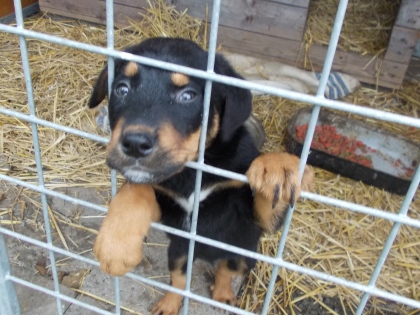 Ilustrační obrázek do seznamu nebo pro pouták