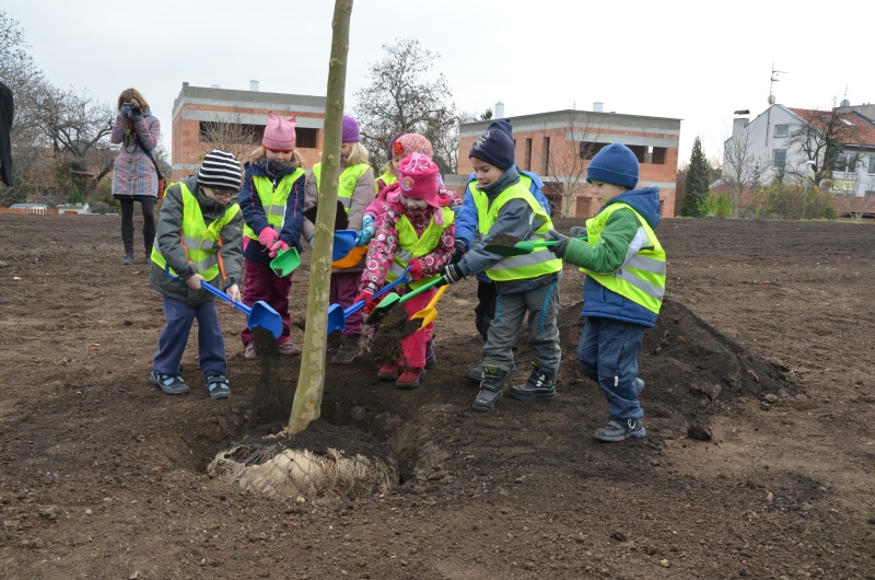 Ilustrační obrázek Založení parku
