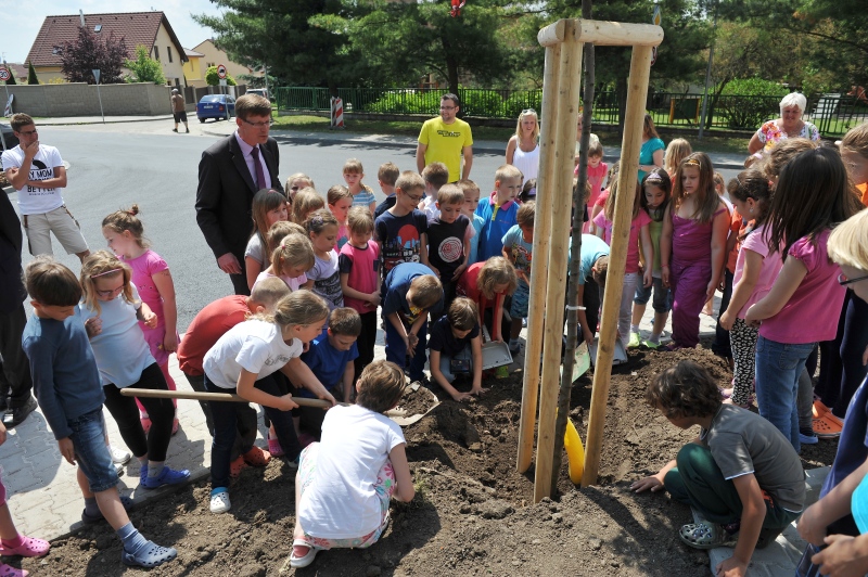 Ilustrační obrázek do seznamu nebo pro pouták