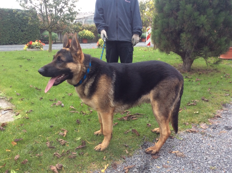 Ilustrační obrázek do seznamu nebo pro pouták