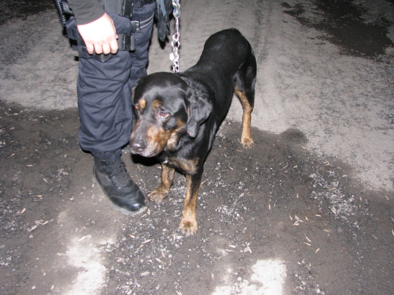 Ilustrační obrázek do seznamu nebo pro pouták