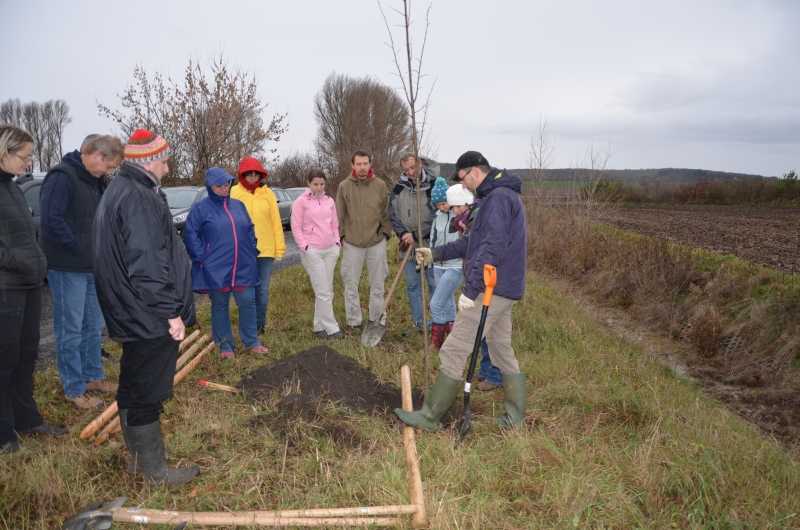 Ilustrační obrázek do seznamu nebo pro pouták