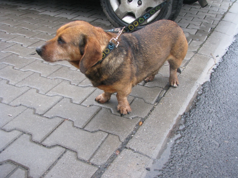 Ilustrační obrázek do seznamu nebo pro pouták