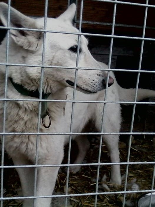 Ilustrační obrázek do seznamu nebo pro pouták